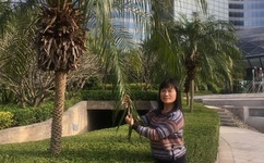 我的好兄弟6免费观看高清